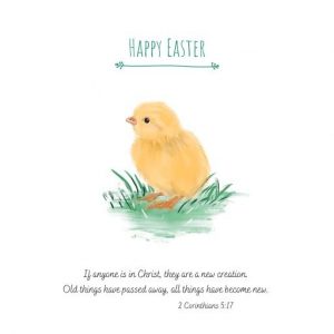 Pack of 10 - Food Bank Happy Easter Chick Greeting Cards