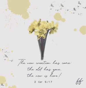 Pack of 10 - Food Bank The New Creation Greeting Cards