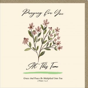 Praying For You At This Time Greetings Card