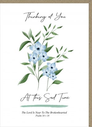 Thinking Of You At This Sad Time Greetings Card