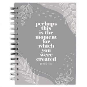 Perhaps This is the Moment Journal