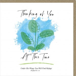 Thinking Of You At This Time Greetings Card