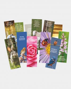 TLM - 12 Bible verse bookmarks