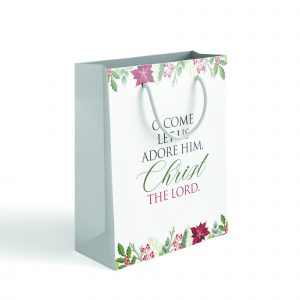 Gift Bag With Carry Handles