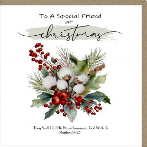 To A Special Friend at Christmas Greeting Cards
