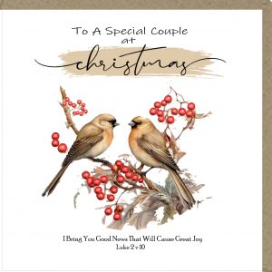 To A Special Couple at Christmas Greeting Cards