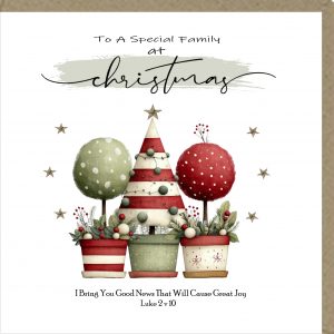 To A Special Family at Christmas Greeting Cards