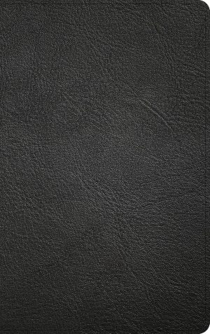 KJV Large Print Thinline Bible, Value Edition, Brown LeatherTouch (Copy)