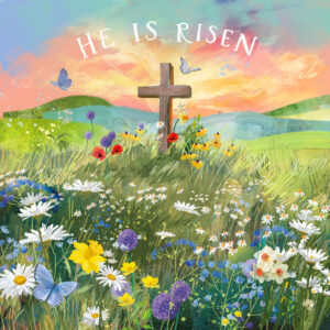 Easter Meadow Cards - Pack Of 5